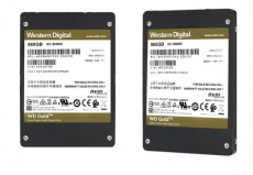 SSD 7.68t wds768t1dvd enterprise