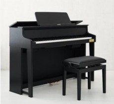 Digital piano gp-310